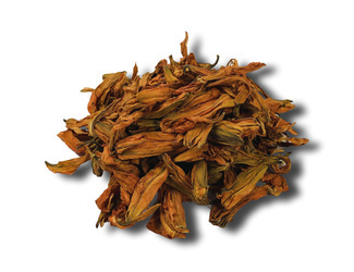 LILIA AZJATYCKA SUSZONE KWIATY