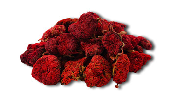 Suszony Kwiat Granatu